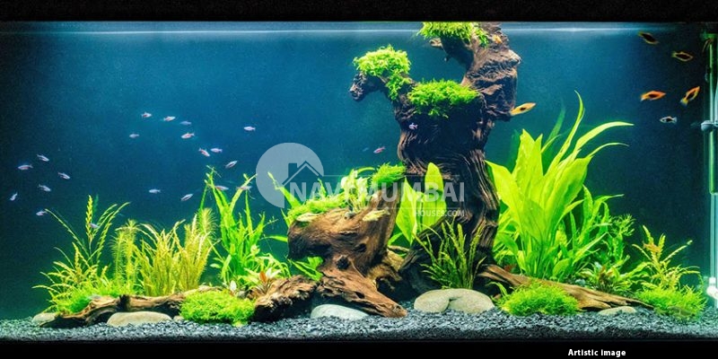 Aquarium Night Light Guide: Which Is Right for Your Tank?