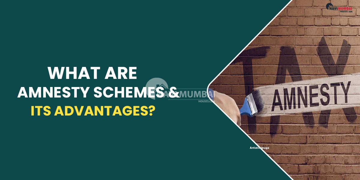 What are amnesty schemes & its advantages?