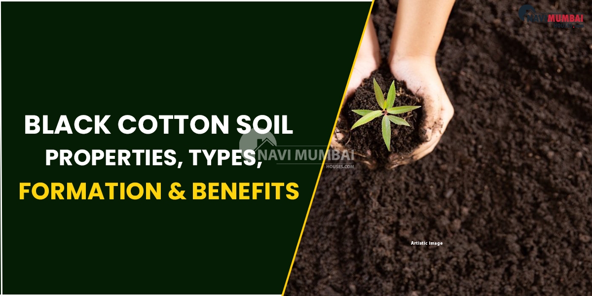 Black Cotton Soil: Properties, Types, Formation & Benefits