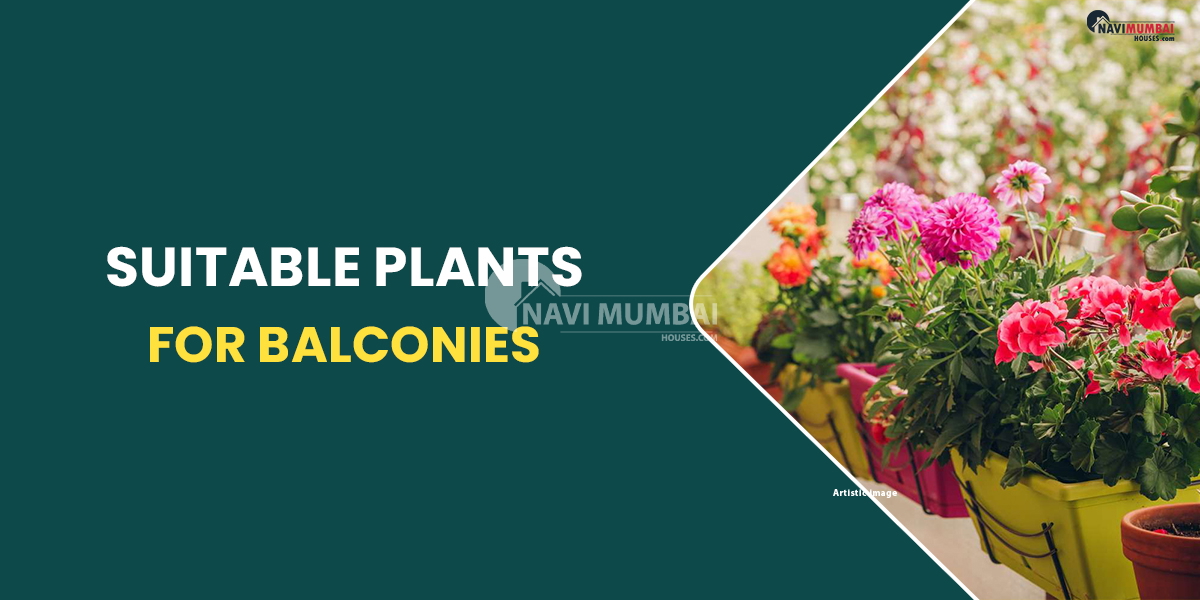 Suitable Plants For Balconies