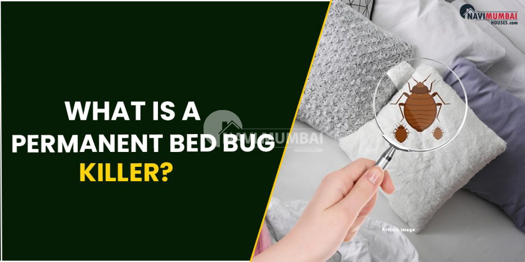 Bed Bug Killer : What Is A Permanent Bed Bug Killer?