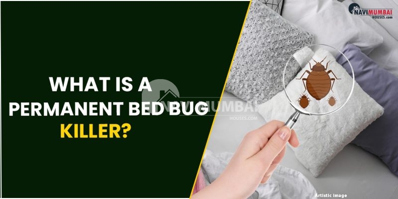 What Is A Permanent Bed Bug Killer?