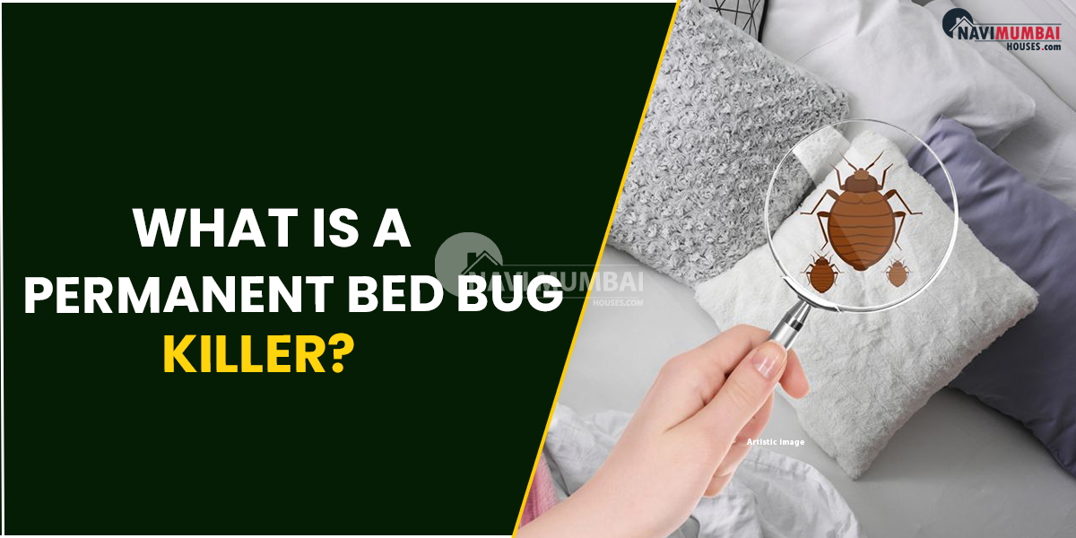 What Is A Permanent Bed Bug Killer?