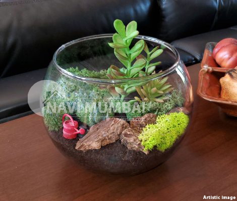 What Are Terrarium Plants & How To Select The Right One?