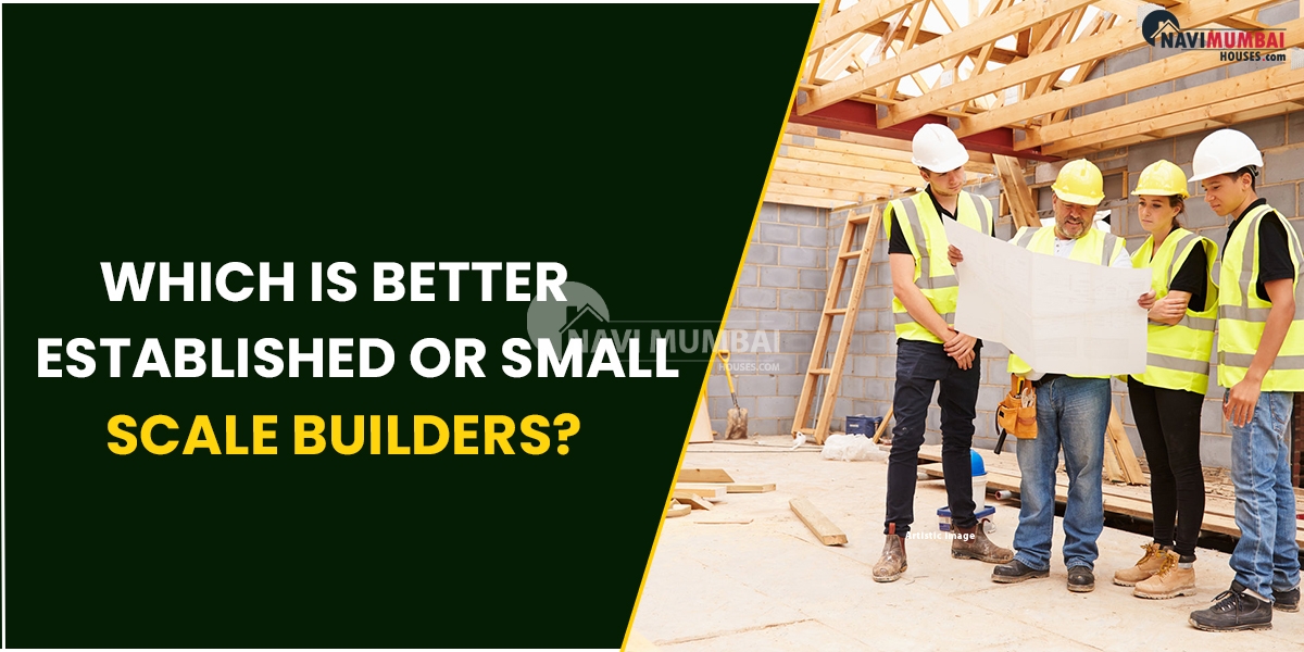 Which is better: Established or Small-Scale Builders?
