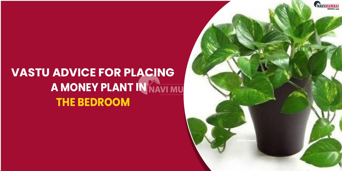 Vastu Advice For Placing A Money Plant In The Bedroom