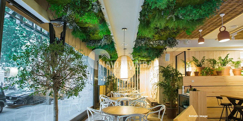 Simple Ceiling Designs For Your Home's Aesthetic