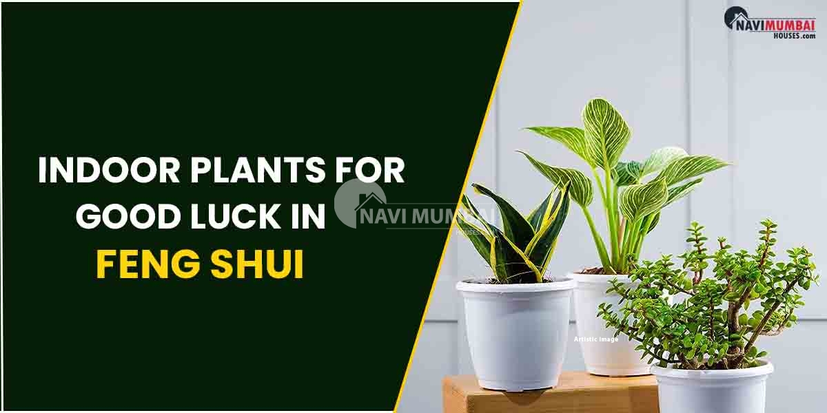 Indoor Plants For Good Luck In Feng Shui