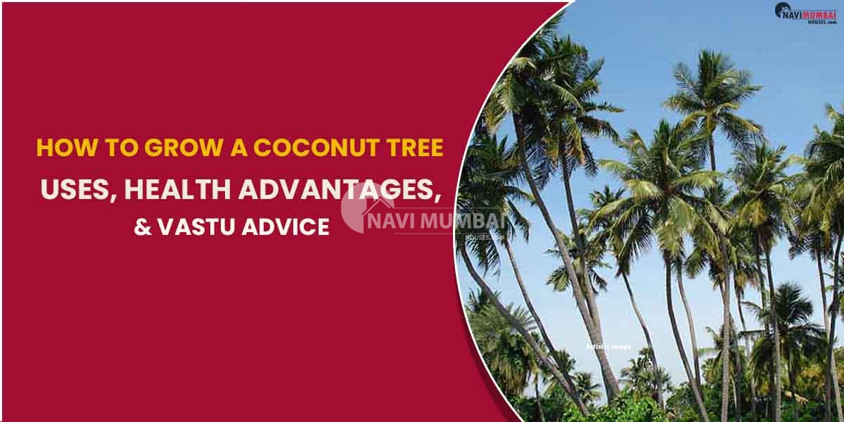 How To Grow A Coconut Tree