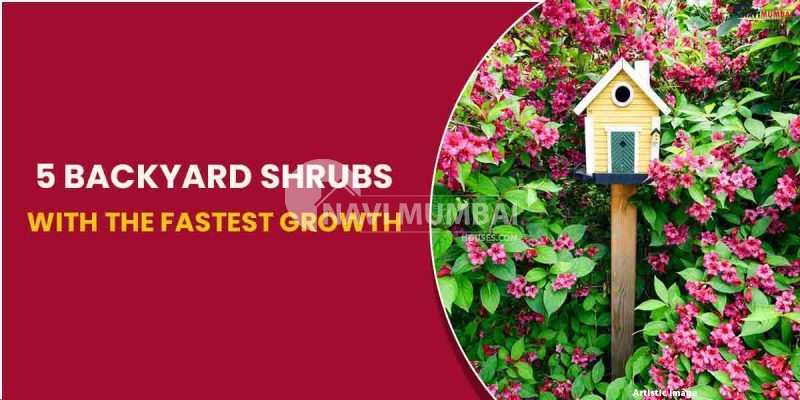 5 Backyard Shrubs With The Fastest Growth